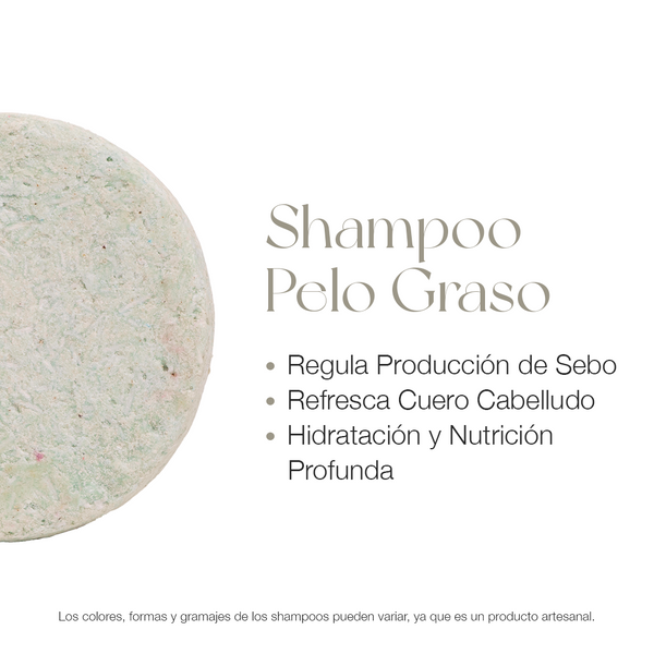 SHAMPOO #05 PELO GRASO MENTA Y BERGAMOTA